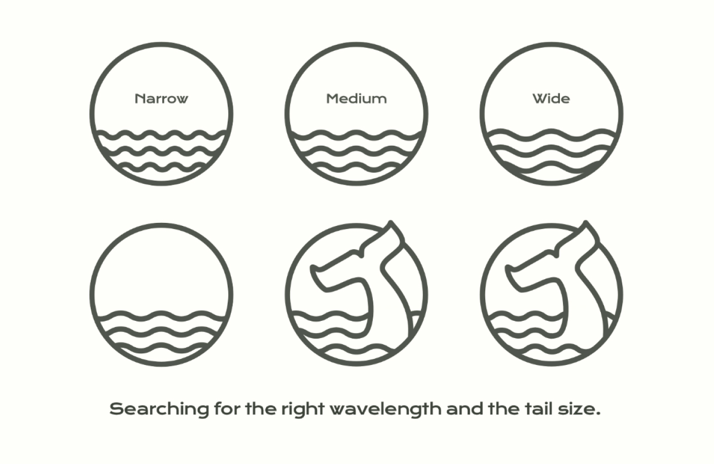 Vector waves shapes