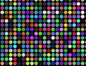 Rainbow circles animation